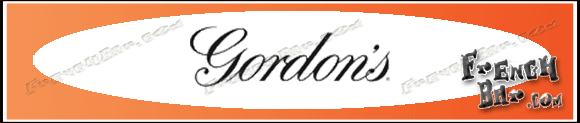 GORDON'S Spécial Dry New Design 2016   