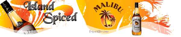 MALIBU Island  Spiced 