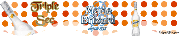 MARIE-BRIZARD Triple Sec   