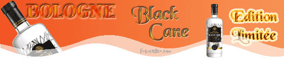 Bologne Black Cane