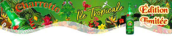 CHARRETTE Île Tropicale   