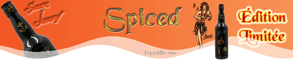 Spiced Limited