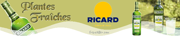 Ricard
Plantes
Fraîches