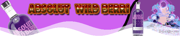 ABSOLUT Wild  Berri 