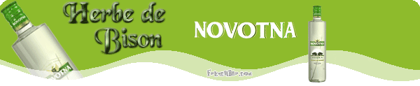 NOVOTNA Herbe de Bison   