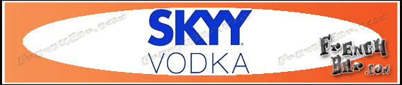 SKYY Originale Design 1992   