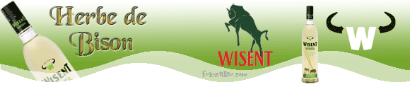 WISENT Bison Grass   