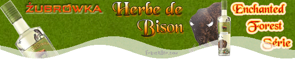 Herbe de Bison