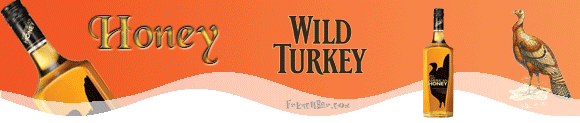 WILD TURKEY Honey   