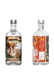 bouteille alcool ABSOLUT Polakom