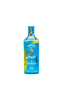 bouteille alcool BOMBAY SAPPHIRE Basquiat