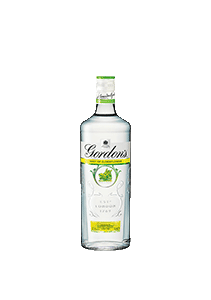 bouteille alcool Gordon's Elderflower