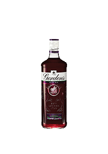 bouteille alcool Gordon's Sloe Gin New Design 2016