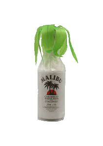 bouteille alcool Malibu Palm