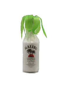 bouteille alcool MALIBU Palm