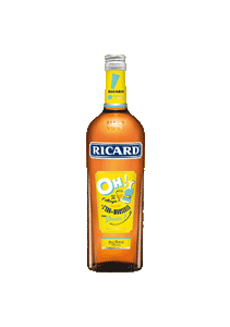 bouteille alcool RICARD 2017