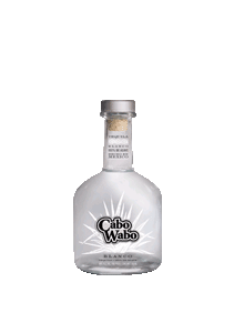 bouteille alcool Cabo Wabo Blanco