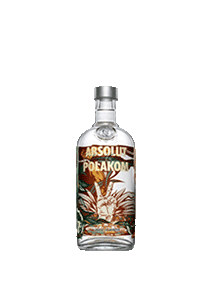 ABSOLUT Polakom