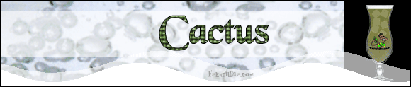 Cactus