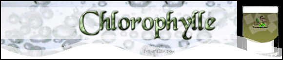 Chlorophylle