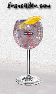 Cocktails Martini Schweppes
