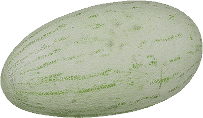 Melon blanc