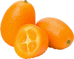 Kumquat