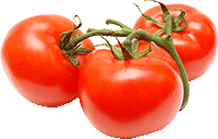 Tomate