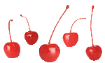 CeriseS au Marasquin