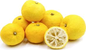 Yuzu fruit