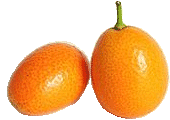 Kumquat