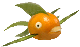 Ball fish