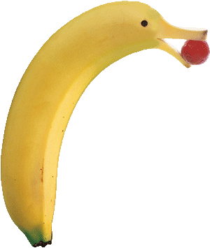 Dauphin banane