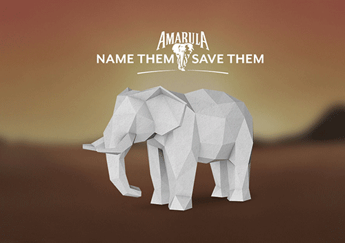 Concept Amarula