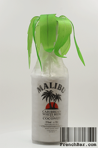 Malibu Palm Limited