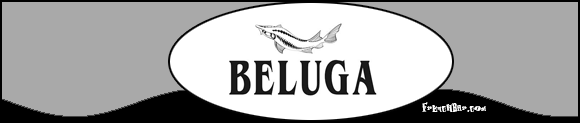 BELUGA