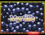 Myrtille