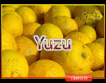 Yuzu