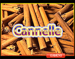 Cannelle