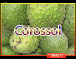 Corossol