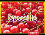 Groseille