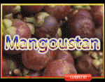 Mangoustan