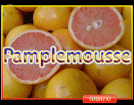 Pamplemousse