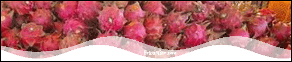 Fruit du Dragon