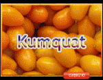 Kumquat