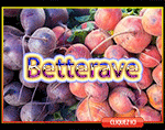 Betterave