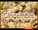 Gingembre