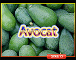 Avocat