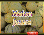 Melon jaune