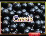 Cassis